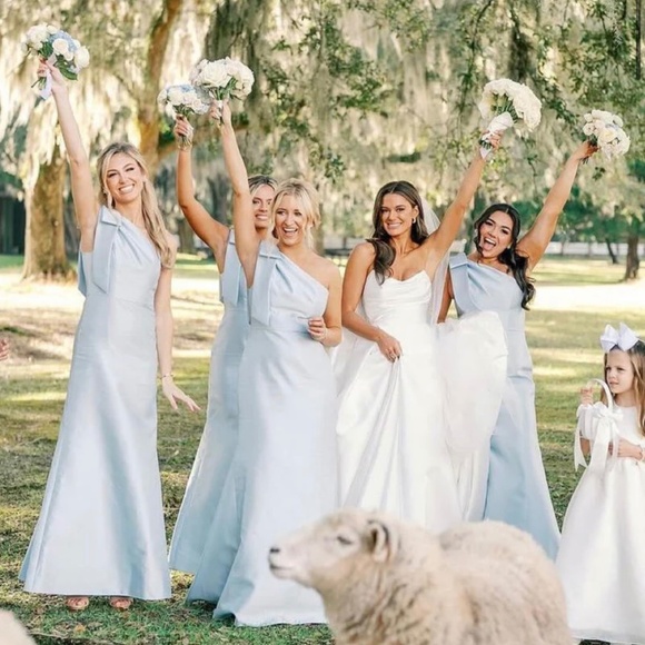 Bridesmaid Dress - Picture 1 of 2